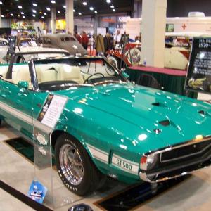 08_CAS_domestic_027.jpg