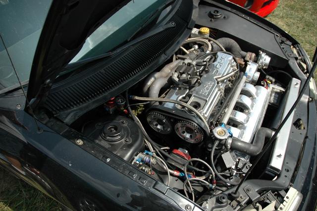 DSC_0162.JPG